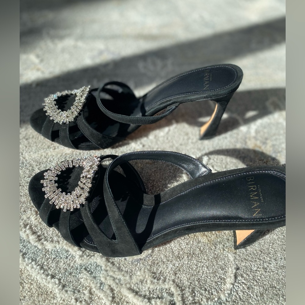 NWT Alexandre Birman Alicia
Suede Embellished Mules - Picture 5 of 15